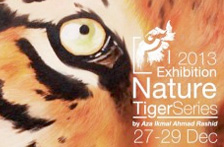 tiger_series
